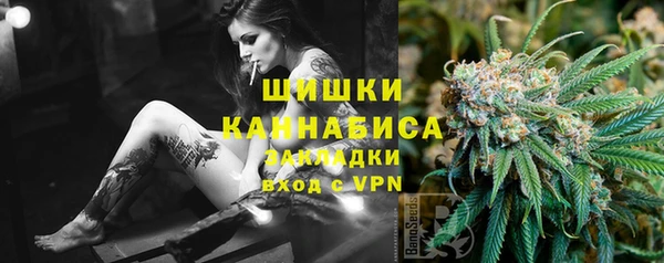 ПСИЛОЦИБИНОВЫЕ ГРИБЫ Балахна